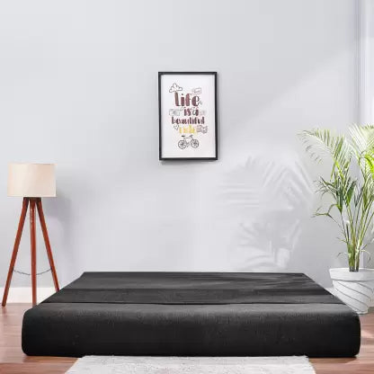 Solis Primus-comfort for all 5X6 size for 3 Person- Moshi Fabric Washable Cover 3 Seater Single Fold Out Sofa Cum Bed (Finish Color - BLACK. Delivery Condition - Pre-assembled)